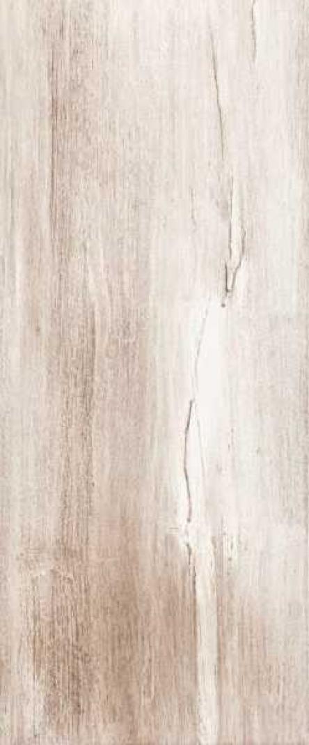 Carlos 25x60